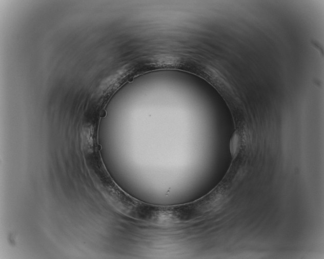 X0000103410264200809191552