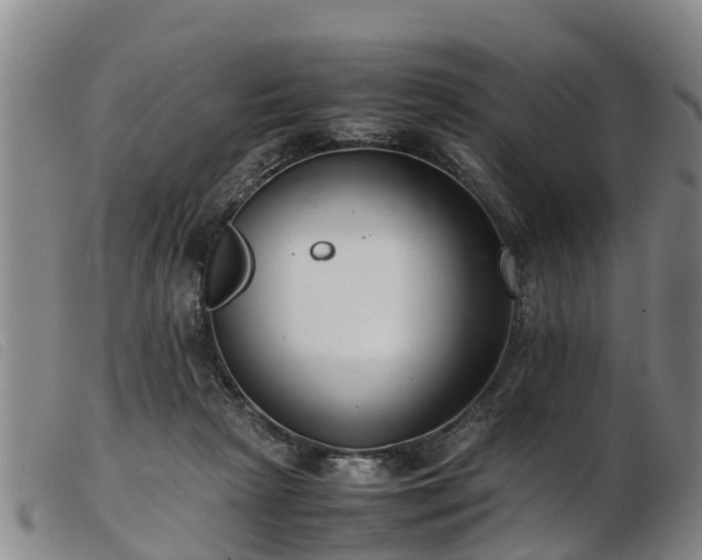 X0000103410265200809191552