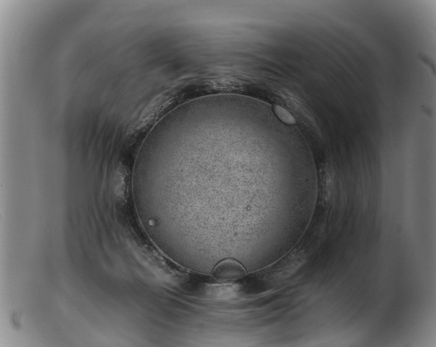 X0000103410266200809191552