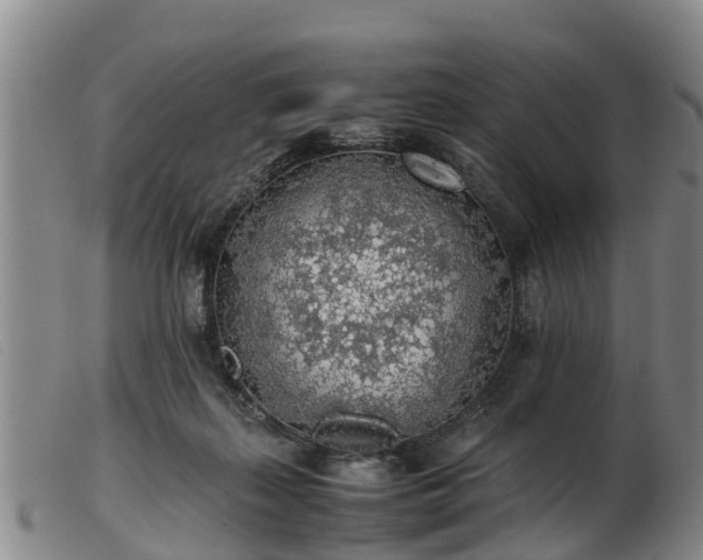 X0000103410267200809191552