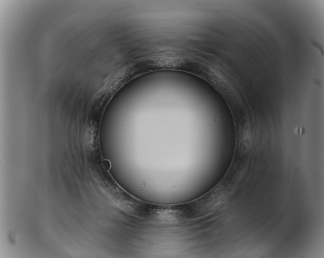 X0000103410268200809191552