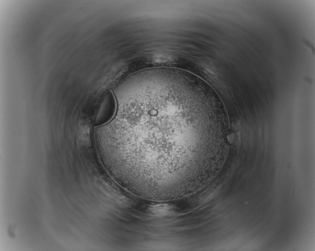 X0000103410269200809191552