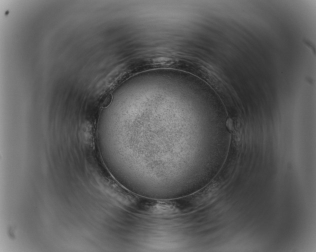 X0000103410270200809191552