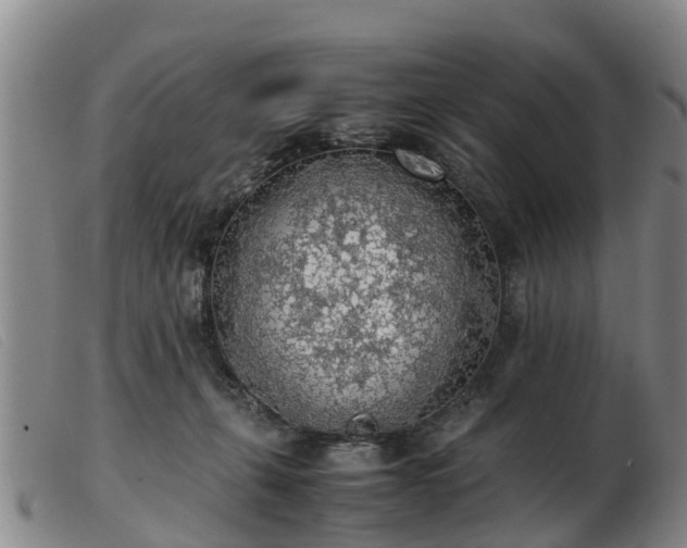 X0000103410271200809191552