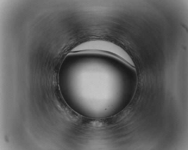 X0000103410272200809191552