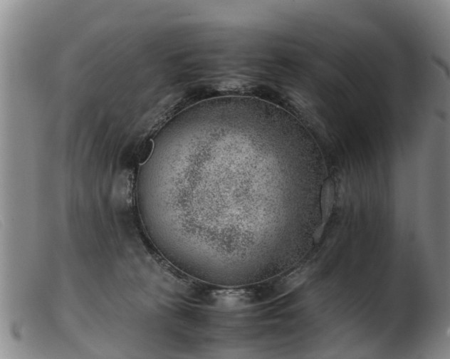 X0000103410273200809191552