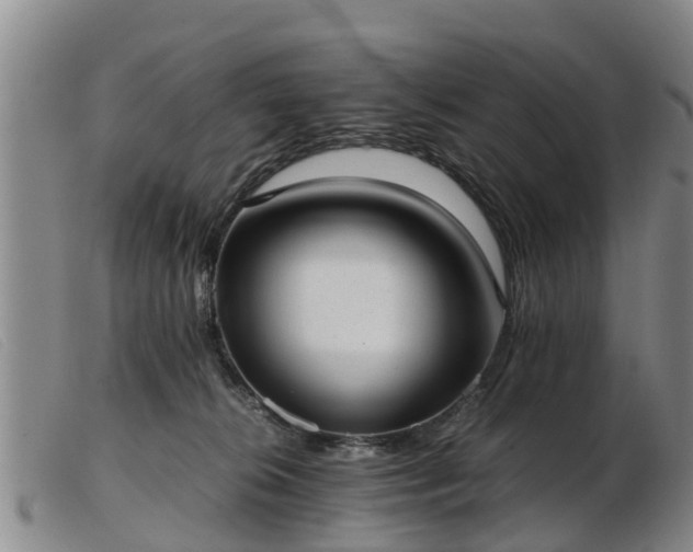 X0000103410276200809191552