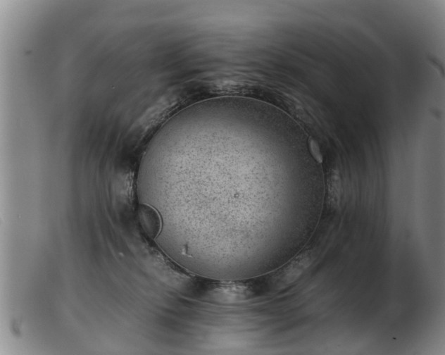 X0000103410278200809191552