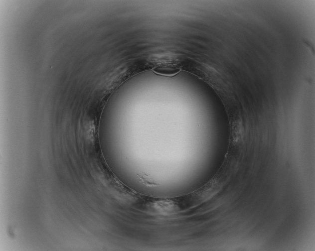 X0000103410279200809191552