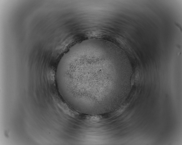 X0000103410282200809191552