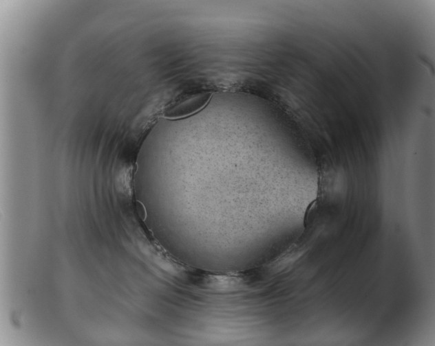 X0000103410286200809191552