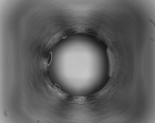 X0000103410288200809191552