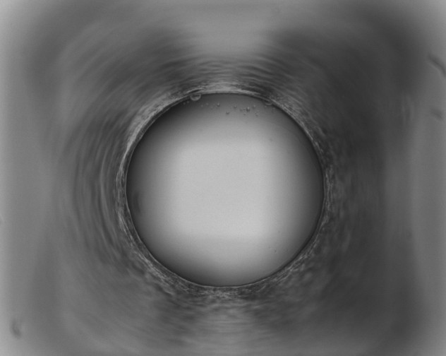 X0000103410289200809191552