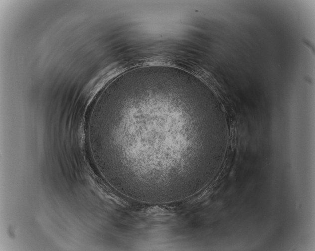 X0000103410290200809191552