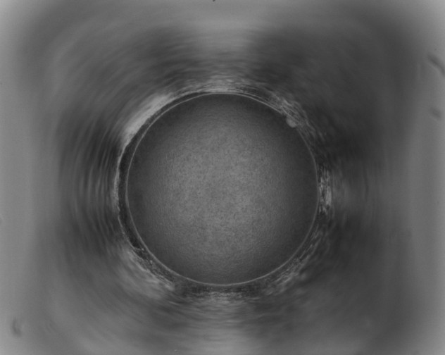 X0000103410292200809191552