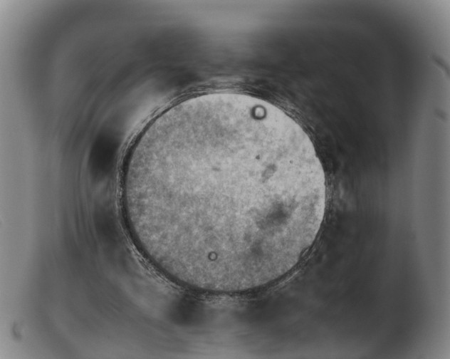 X0000103410293200809191552