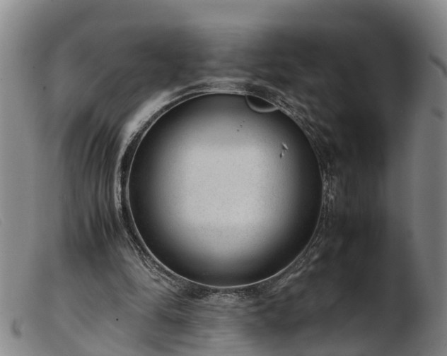 X0000103410294200809191551