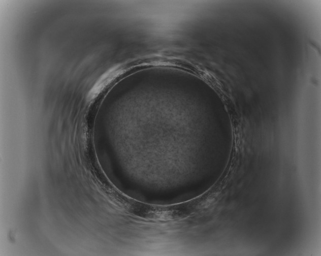 X0000103410295200809191551