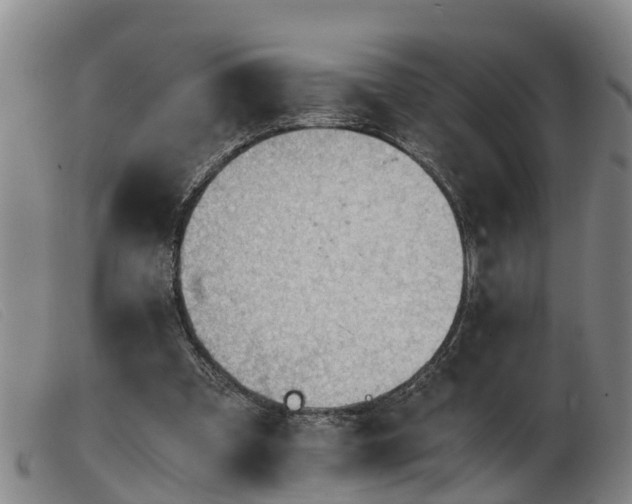 X0000103410297200809191551