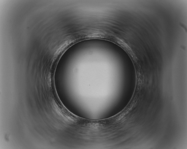 X0000103410298200809191551