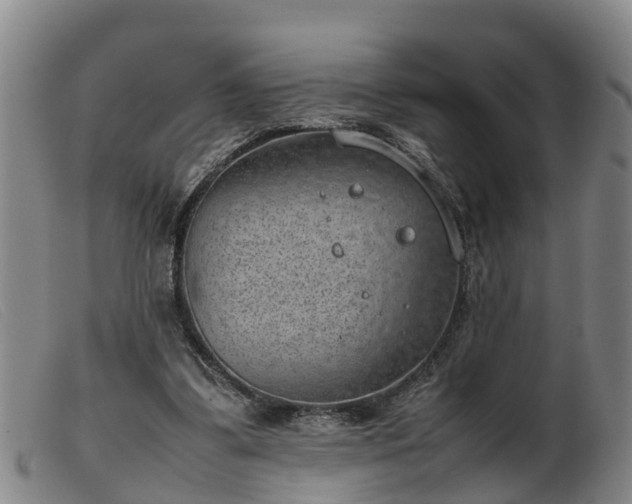 X0000103410299200809191551