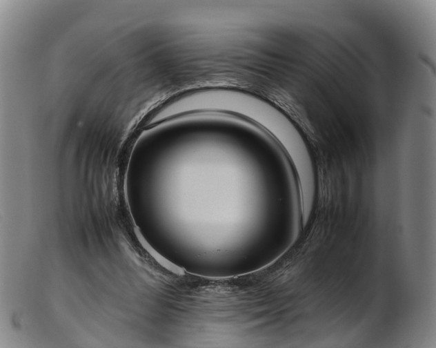 X0000103410300200809191551