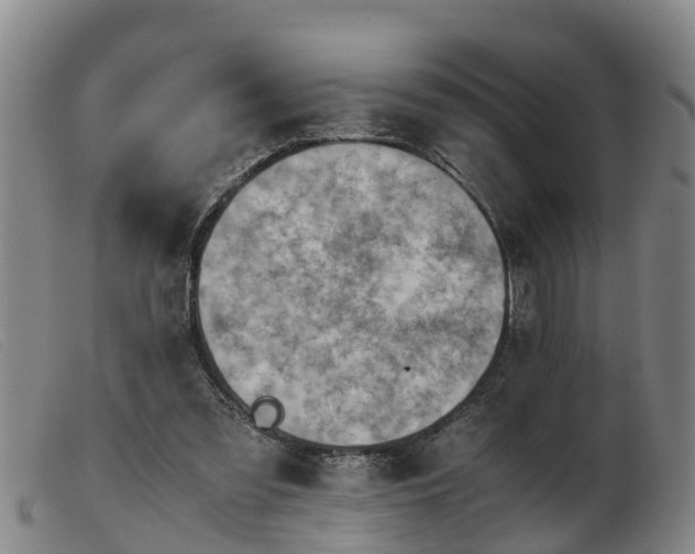 X0000103410301200809191551