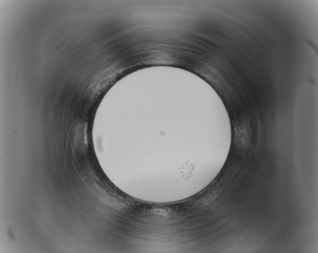 X0000103410302200809191551