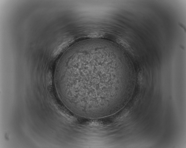 X0000103410303200809191551