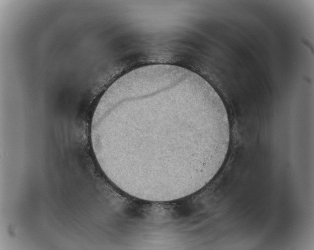 X0000103410305200809191551