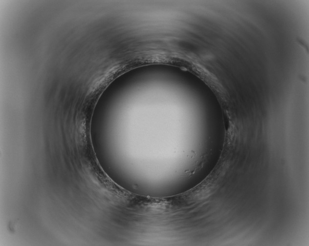 X0000103410306200809191551