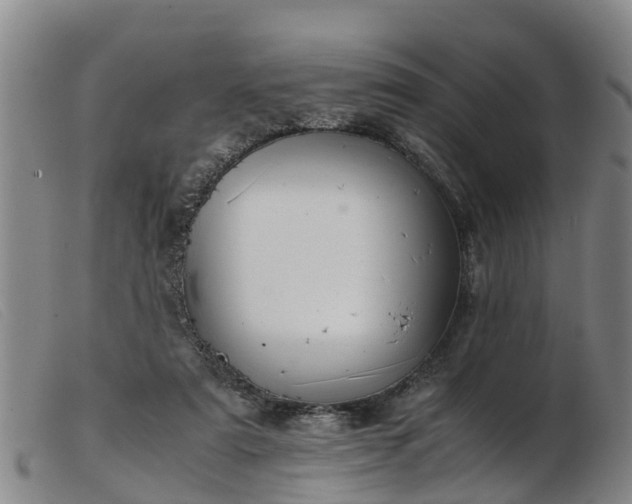 X0000103410307200809191551