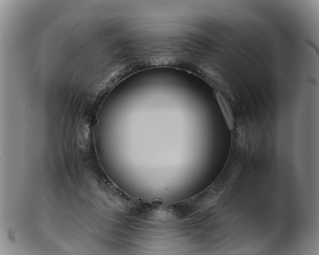 X0000103410308200809191551