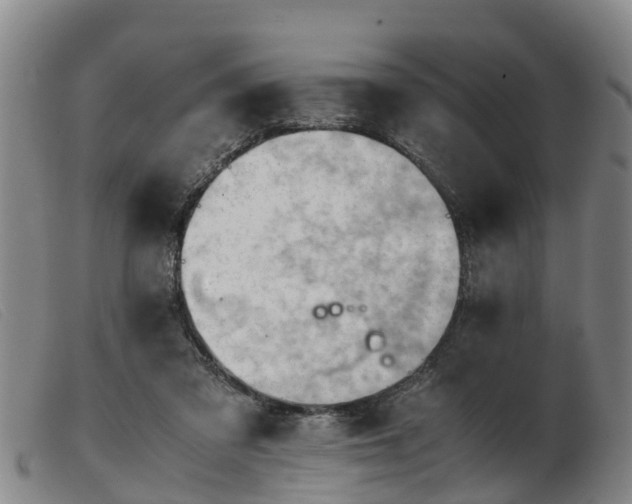 X0000103410309200809191551