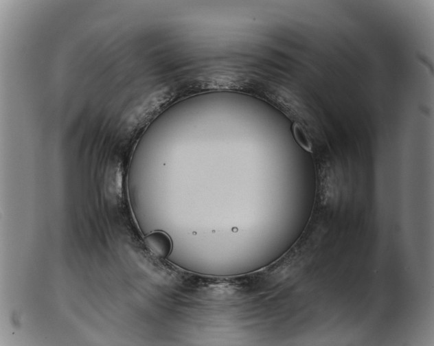 X0000103410310200809191551