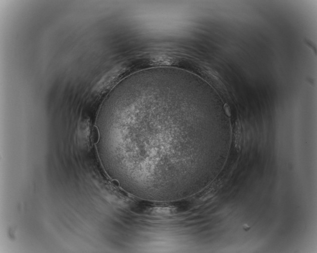 X0000103410314200809191551