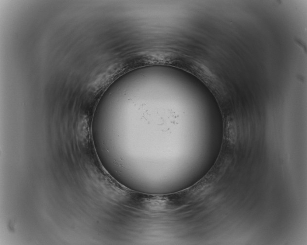 X0000103410318200809191551