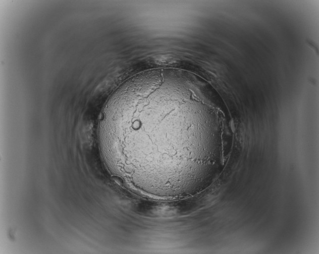 X0000103410319200809191551