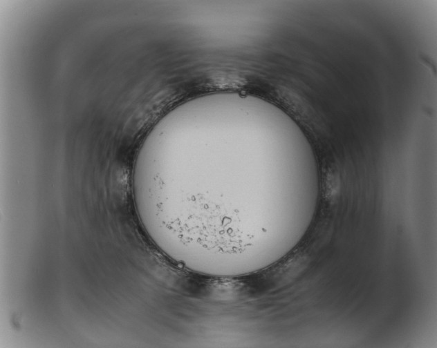 X0000103410321200809191551