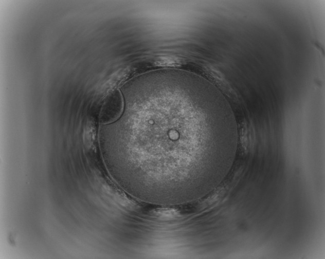 X0000103410322200809191551