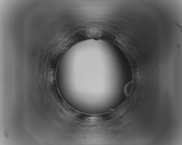 X0000103410323200809191551