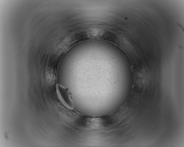 X0000103410324200809191551