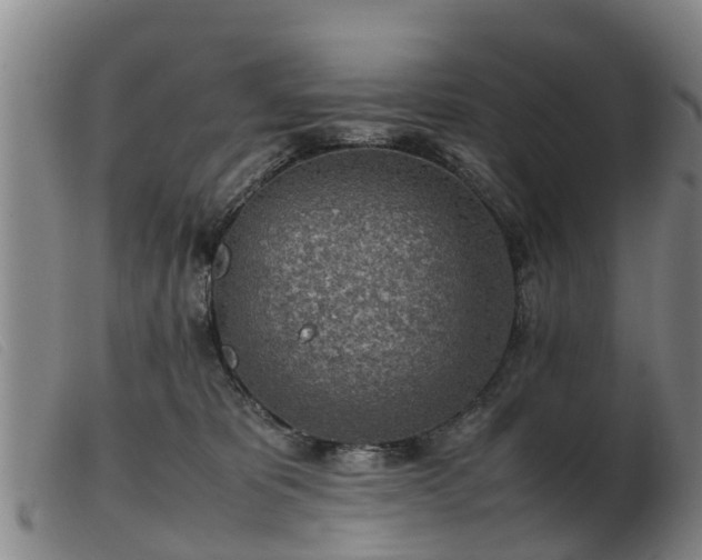 X0000103410325200809191551