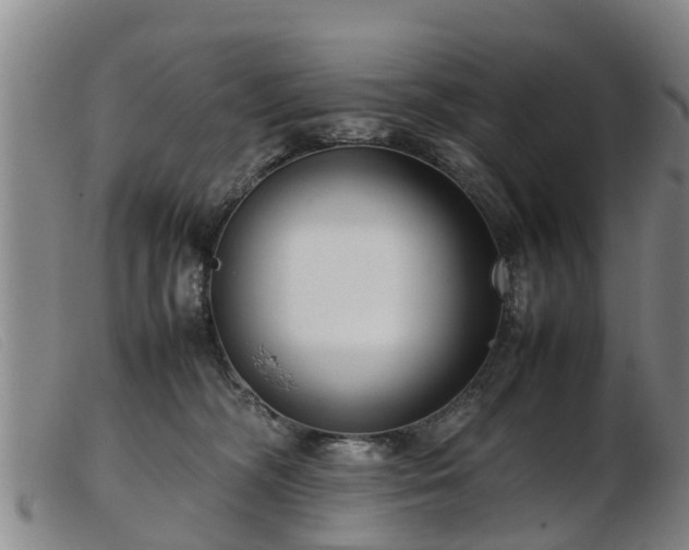 X0000103410326200809191551