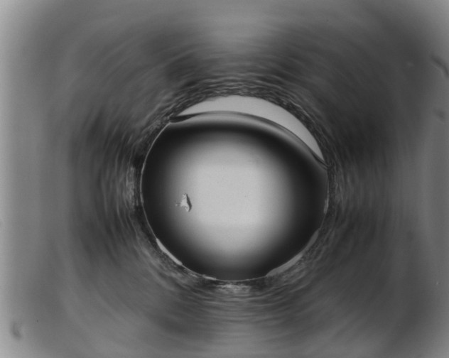 X0000103410328200809191551