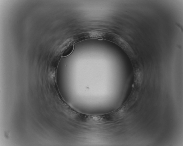 X0000103410329200809191551