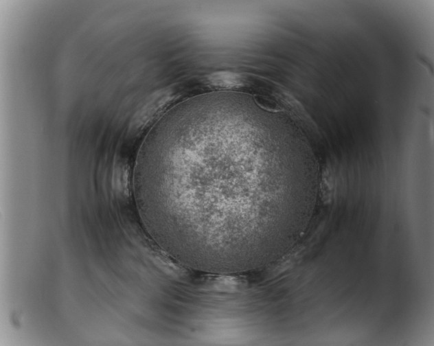 X0000103410330200809191551