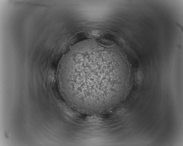 X0000103410331200809191551