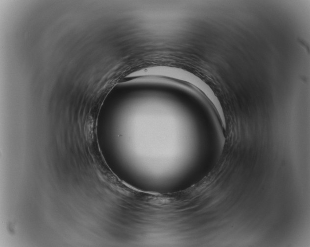 X0000103410332200809191551