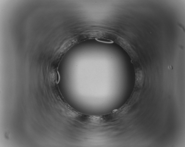 X0000103410333200809191551